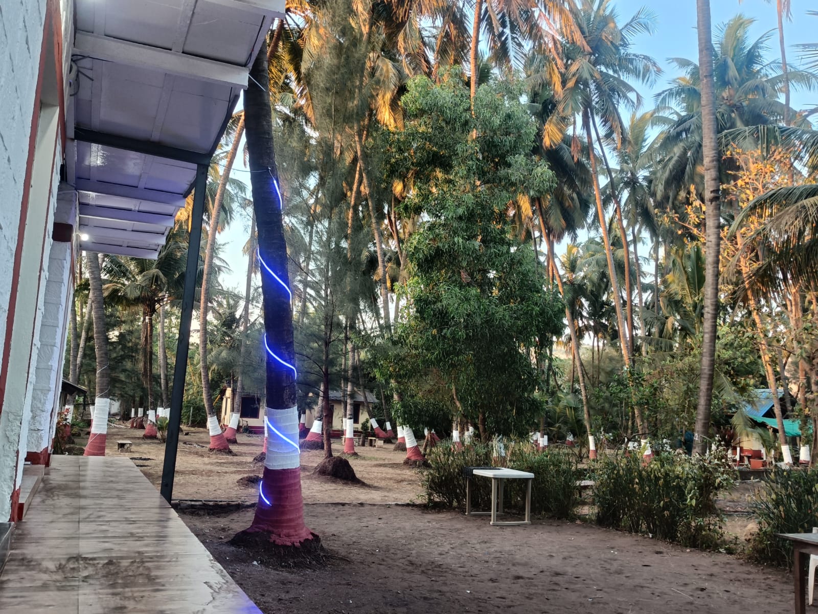 Resort Photo